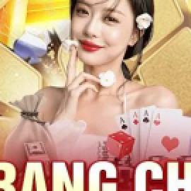 Profile picture of terribletissue8777@gmail.com