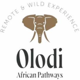 Profile picture of olodiafricanpathways@gmail.com