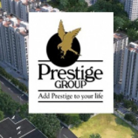 Profile picture of prestigesuncrest20@gmail.com