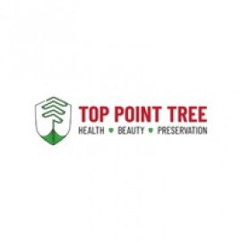 Profile photo of toppointtree@nxpro.com
