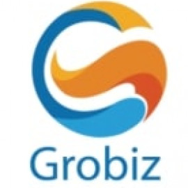 Profile photo of grobiz49@gmail.com
