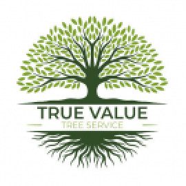 Profile picture of truevaluetreeservices@outlook.com