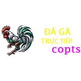 Profile photo of DimatulacDenzelTPZt@gmail.com