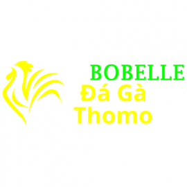 Profile picture of haivantruong64701503@gmail.com