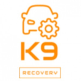 Profile picture of k9recovery.co.uk@gmail.com