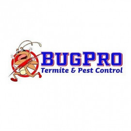 Profile photo of bugproca@tohru.org