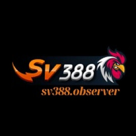 Profile picture of sv388.observer@gmail.com