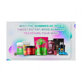 Profile picture of schimmelforsmqsd5648@gmail.com