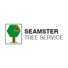 Profile photo of seamstertreestump@gmail.com