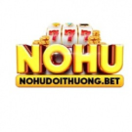 Profile picture of nohudoithuongbet@gmail.com