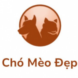 Profile photo of joherol110523@gmail.com