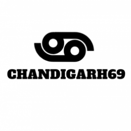 Profile picture of raginimittal293@gmail.com