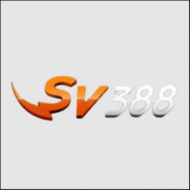 Profile picture of sv388vnicu@gmail.com