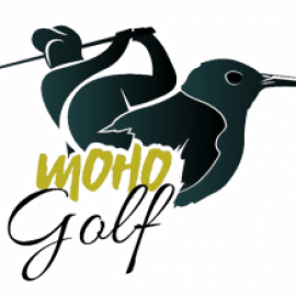 Profile photo of anthonyrogers11110@gmail.com