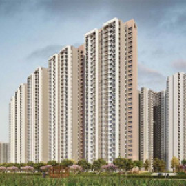 Profile picture of prestigesouthernstar20@gmail.com