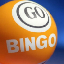 Profile picture of pauloferreirabr080890@gmail.com