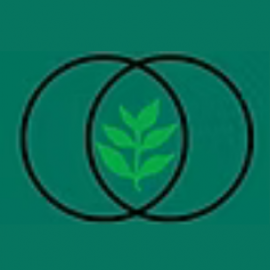 Profile picture of moxil14298@lushosa.com