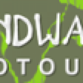 Profile photo of gondwannaecotowards@gmail.com