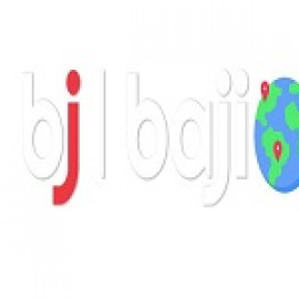 Profile picture of bjbajibn@gmail.com