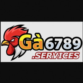 Profile photo of thailam0mtu@gmail.com