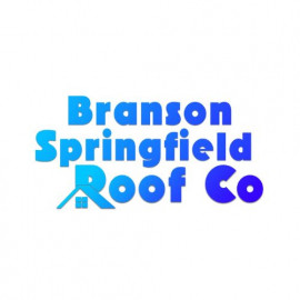 Profile photo of bransonspringfieldroof@gmail.com