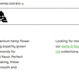 Profile photo of dea128439@gmail.com