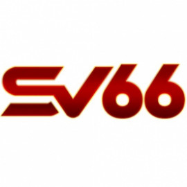 Profile picture of infor.sv66beer@gmail.com