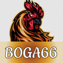 Profile photo of listepablo296@gmail.com