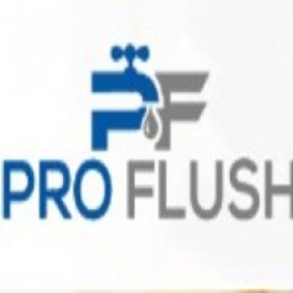 Profile photo of proflushaus@gmail.com