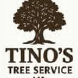 Profile photo of tinostreeservicevausa@gmail.com