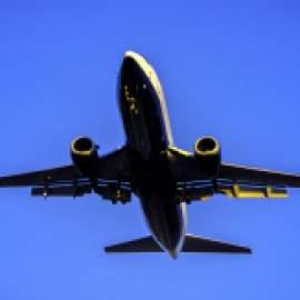 Profile picture of romanosofia053@gmail.com