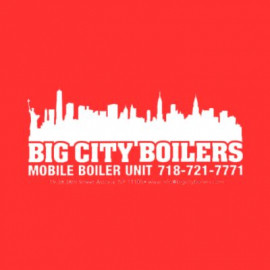 Profile picture of bigcityboilers2@gmail.com