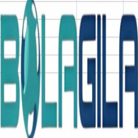 Profile picture of bolagiladeal@gmail.com