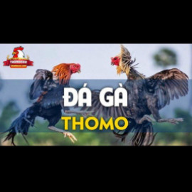 Profile picture of actionforharesorguk@gmail.com