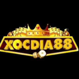 Profile picture of yusufbonnie601@gmail.com