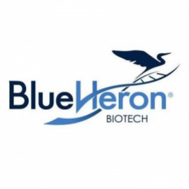 Profile photo of blueheronbio1@gmail.com