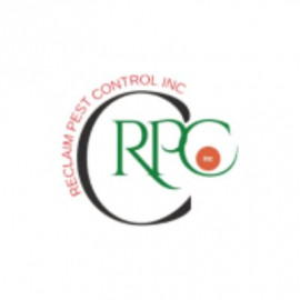 Profile photo of reclaimpestc@gmail.com