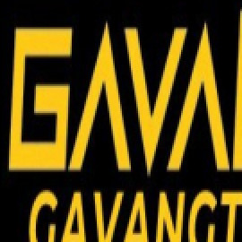 Profile picture of gavangtvio@gmail.com
