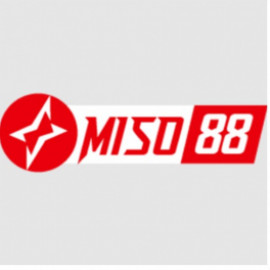 Profile picture of miso88ee@gmail.com