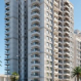 Profile picture of prestigesouthernstar01@gmail.com