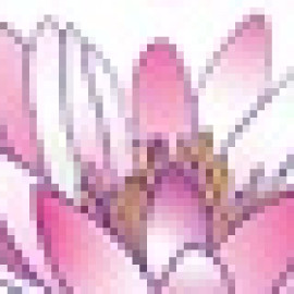 Profile photo of namastebookstore@gmail.com