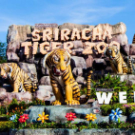 Profile photo of dacem91773@ethsms.com