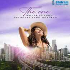 Profile picture of shriramcodenametheone@gmail.com