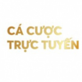 Profile picture of doithuong247com1@gmail.com