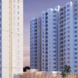 Profile photo of prestigehighlandhighway@gmail.com