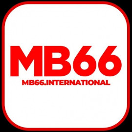 Profile picture of mb66international@gmail.com