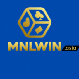 Profile picture of mnlwin.asia@gmail.com