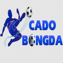 Profile picture of cacuocbongda2@gmail.com