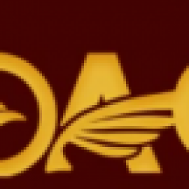 Profile picture of salv.el.a.n.w.jrxket@gmail.com