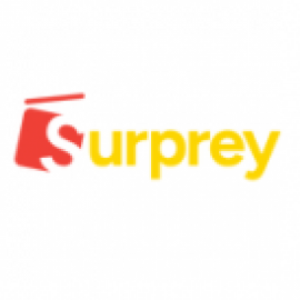 Profile photo of Surprey6@gmail.com
